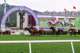 Trained by David Hall, Beluga (No.8) won the Cup by beaten the horse at the second place by a neck.