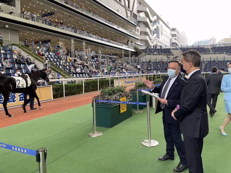 This year the Best Turned Out Horse Presentation of Panasonic Cup was awarded to Jolly Banner.