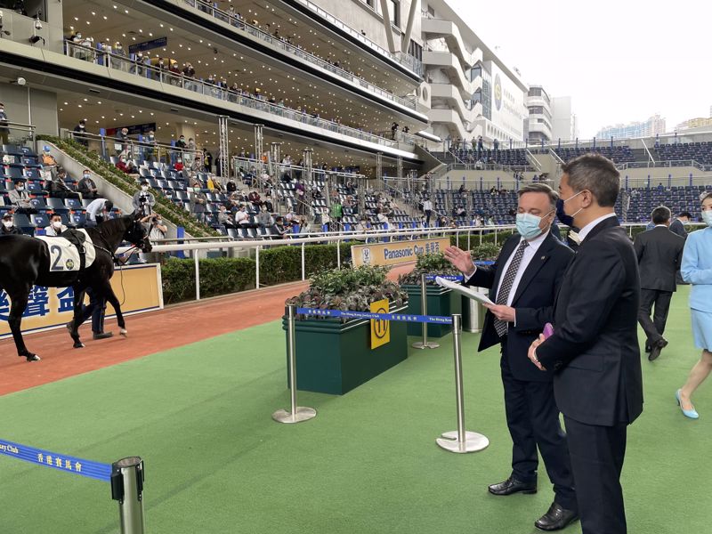 This year the Best Turned Out Horse Presentation of Panasonic Cup was awarded to Jolly Banner.